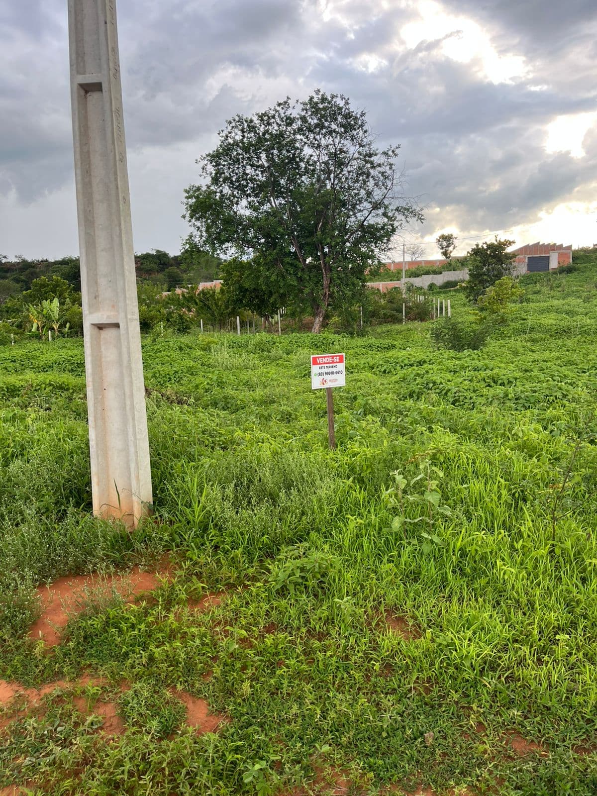 Imagem do imóvel Mini Chácara